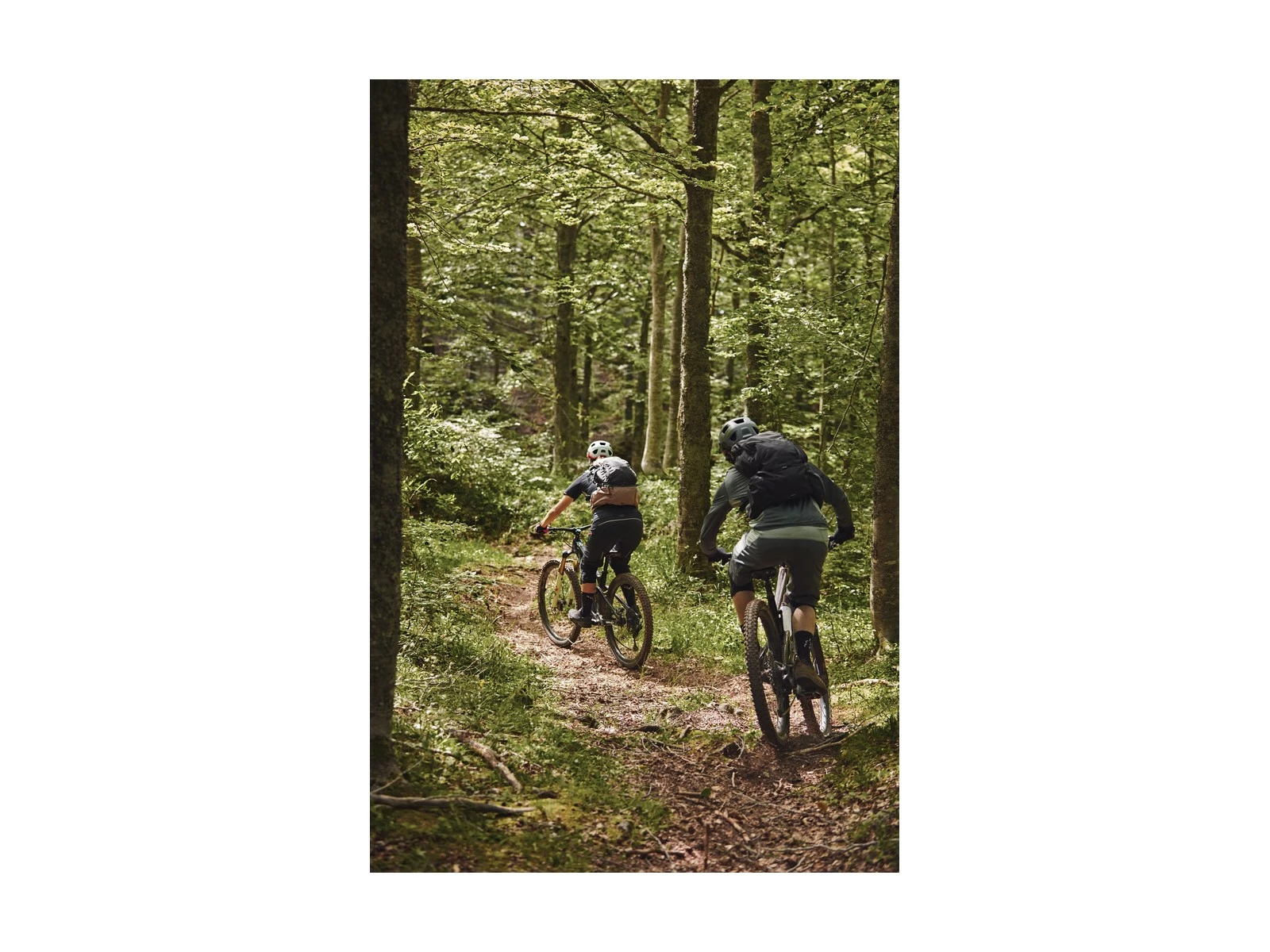 ABUS Casque MoDrop VTT Velvet Black 18 ABUS Casque MoDrop VTT Velvet Black – Image 16